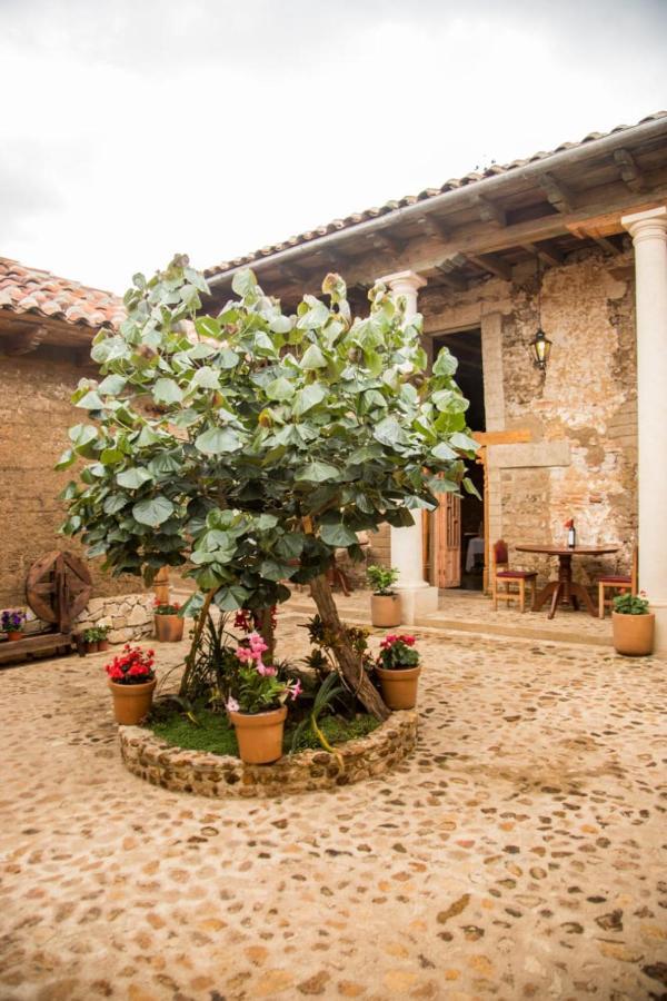 Hotel Casa De Gandhi San Cristóbal de Las Casas Εξωτερικό φωτογραφία